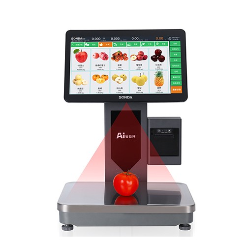 AI POS Scale W1900